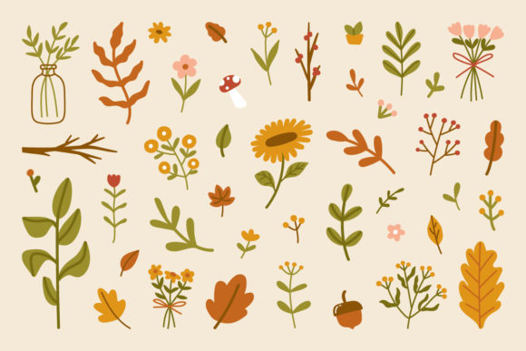 Autumn Leaves Flowers Elements Abstract: Graphics & Illustrations Review