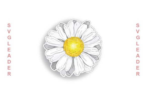 Daisy Flowers Trending: A Practical Review for Graphics and Illustrations