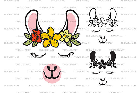 Lama with Flowers: A Practical Review for Graphics and Illustrations