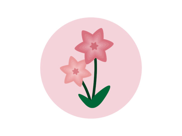 Two Pink Flowers with Six Petals for Graphics and Illustrations